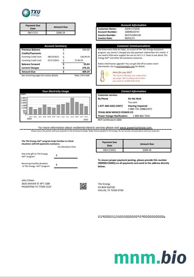 USA Texas TXU Energy rachunek za media szablon w formacie Word i PDF